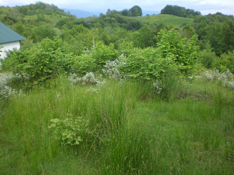 Фото мацеста участки. Дом мацеста сочи. Дома в мацесте. Мацеста снт. Мацеста снт.