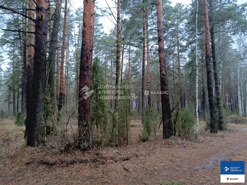 Продажа участка, Рязанский район, садоводческое товарищество Лесной - Фото 1