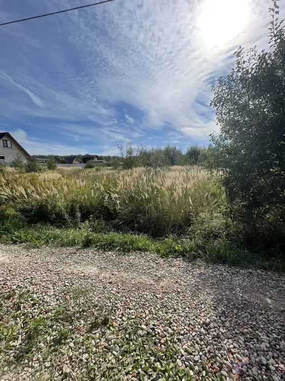 Продам участок под ПМЖ 8 соток, Ступинский район, Липитино-1. - Фото 6