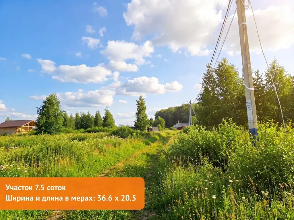 Продается земельный участок Жальское деревня - Фото 6