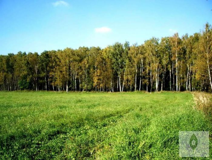 Купить Участок В Городе Щелково