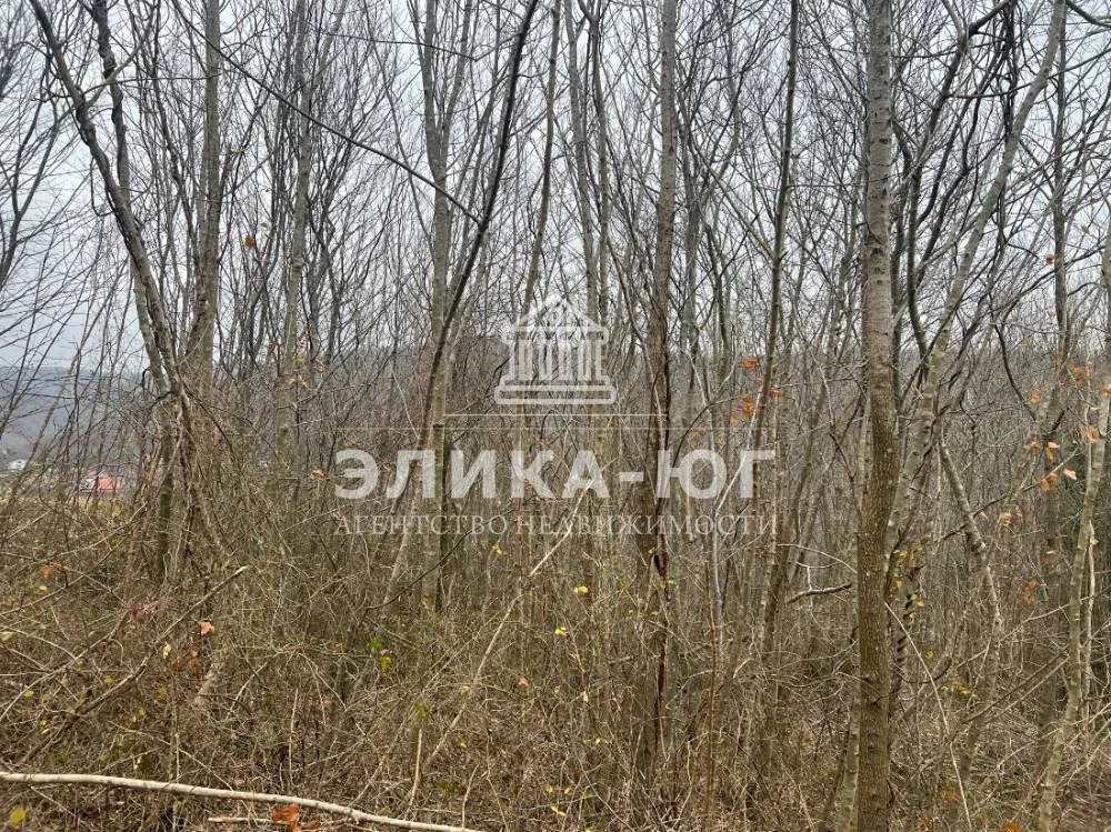 Продажа участка, Бжид, Туапсинский район, мкр. Юг - Фото 4