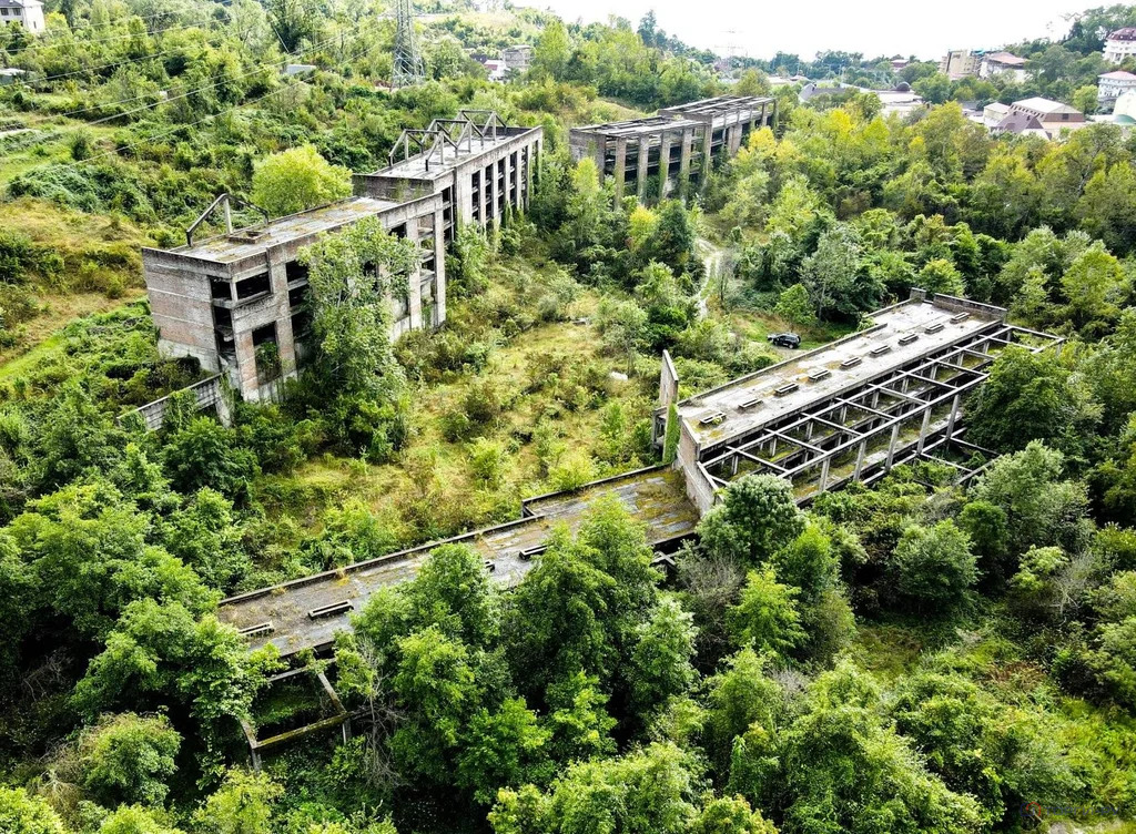 Продажа участка, Сочи, ул. Главная - Фото 2