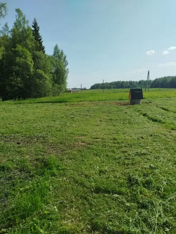 Земельный участок у леса - Фото 5