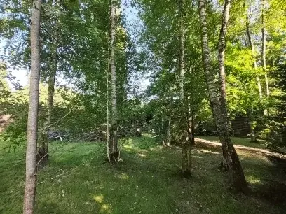 Участок 20 сот. (СНТ, ДНП) - Фото 10