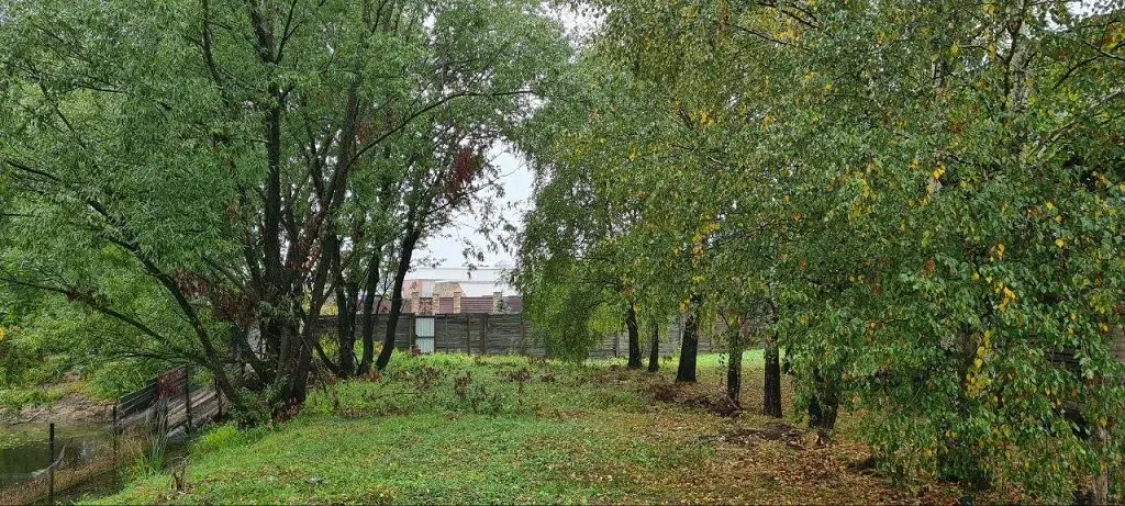Участок у пруда на Рублевке в Шульгино - Фото 3