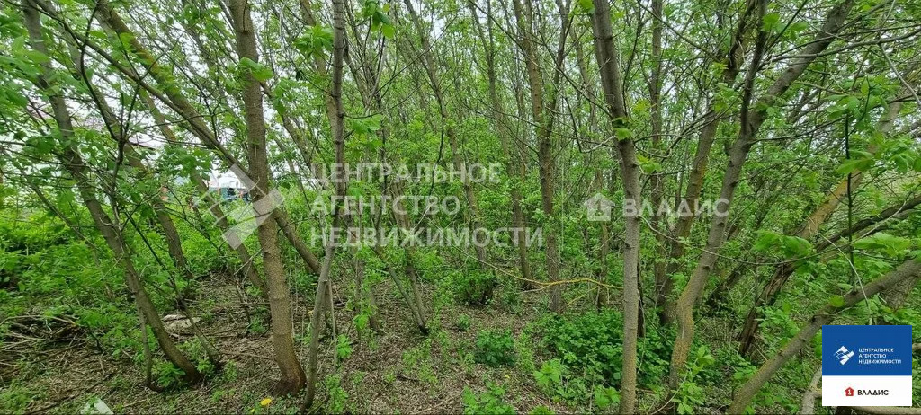 Продажа участка, Гавриловское, Спасский район, ул. Центральная - Фото 3