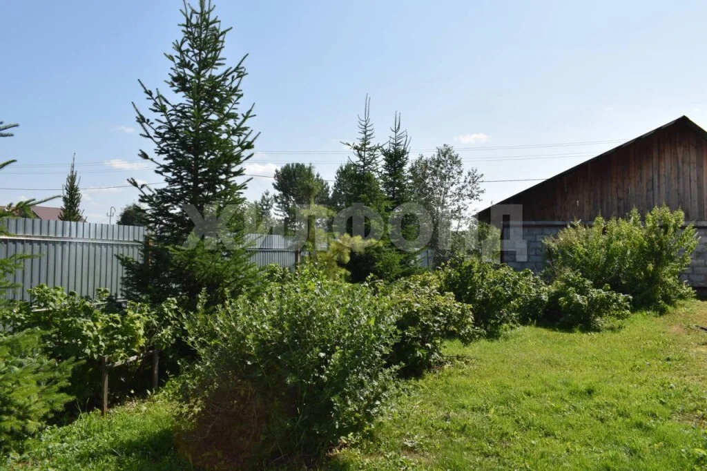 Продажа дома, Новосибирск, ст Солнечное - Фото 32