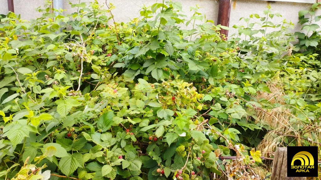 Продажа дома, Старотитаровская, Темрюкский район, Ильича пер. - Фото 18