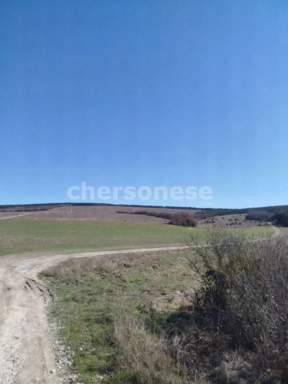 Продажа участка, Севастополь, территория КСП Память Ленина - Фото 10