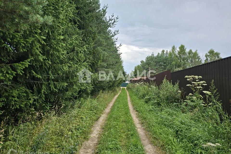 Талдомский городской округ, деревня Петрино,  земля на продажу - Фото 2