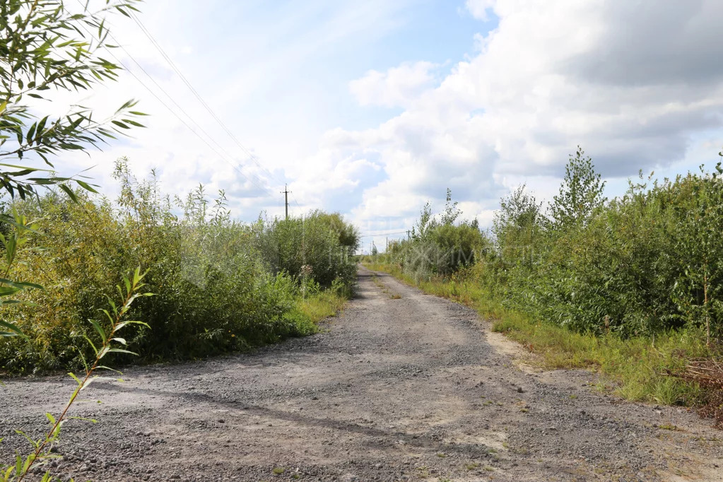 Продажа участка, Богандинское, Тюменский район, Тюменский р-н - Фото 3