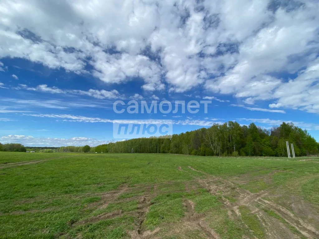 Продажа участка, Струково, Ленинский район - Фото 2