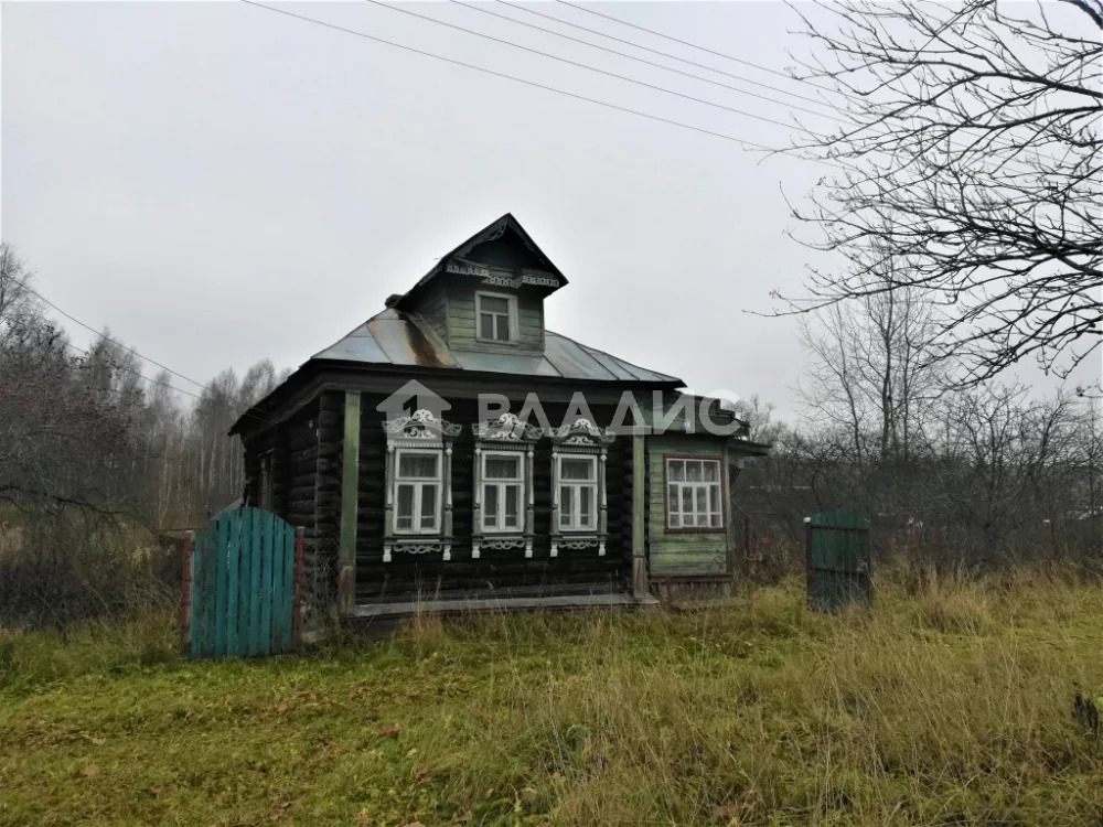 Камешковский район, деревня Ивишенье, дом на продажу - Фото 2