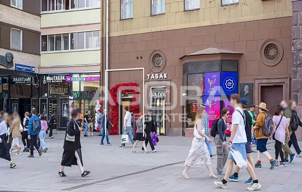 Продажа ПСН, м. Пушкинская, ул. Тверская - Фото 5