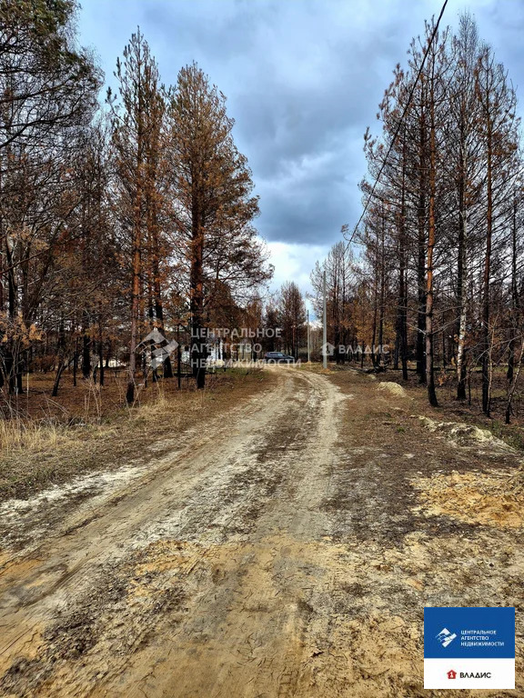 Продажа участка, Багданово, Рязанский район, Удачная улица - Фото 7