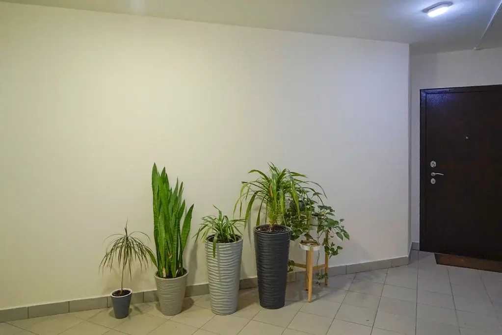 Купить квартиру в Москве метро Царицыно возможно уже сегодня! - Фото 16