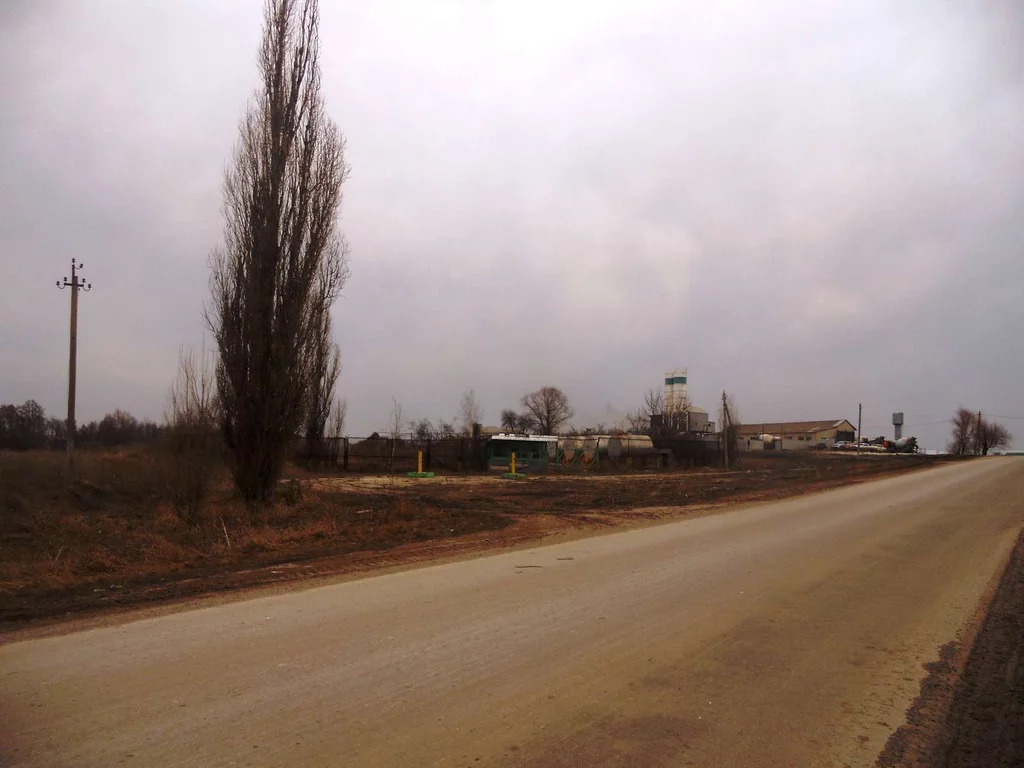 Беловское сельское поселение белгородская