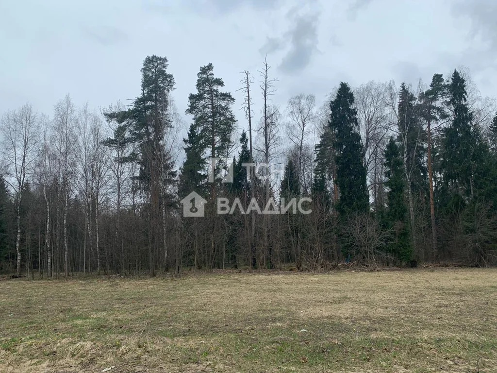 городской округ Щёлково, рабочий посёлок Фряново, Молодёжная улица, ... - Фото 33