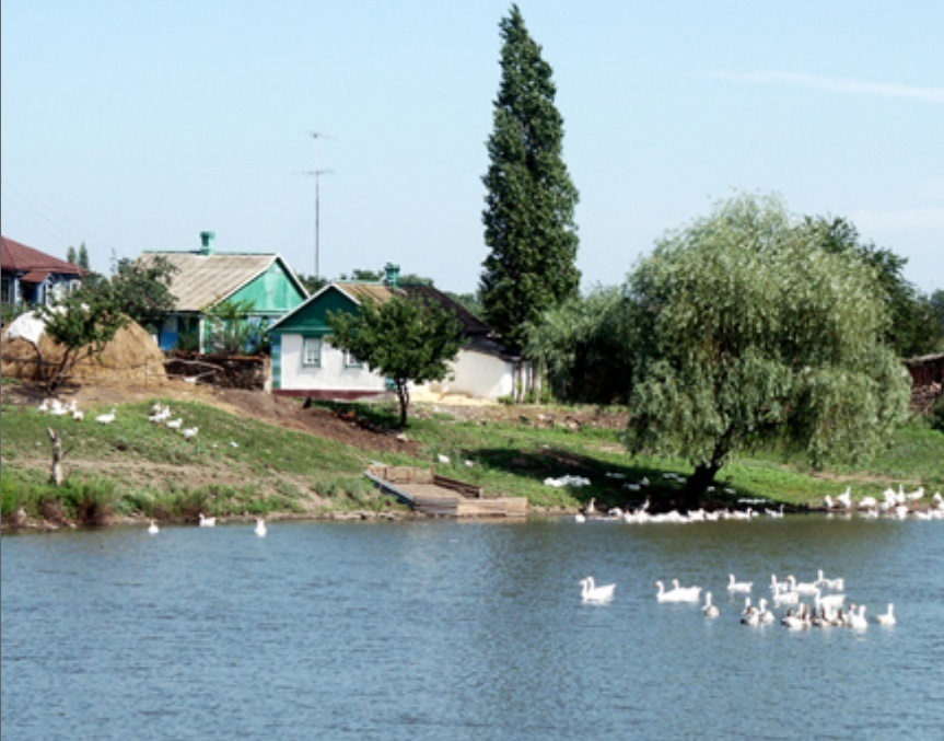 Купить Дом В Реки В Воронеже