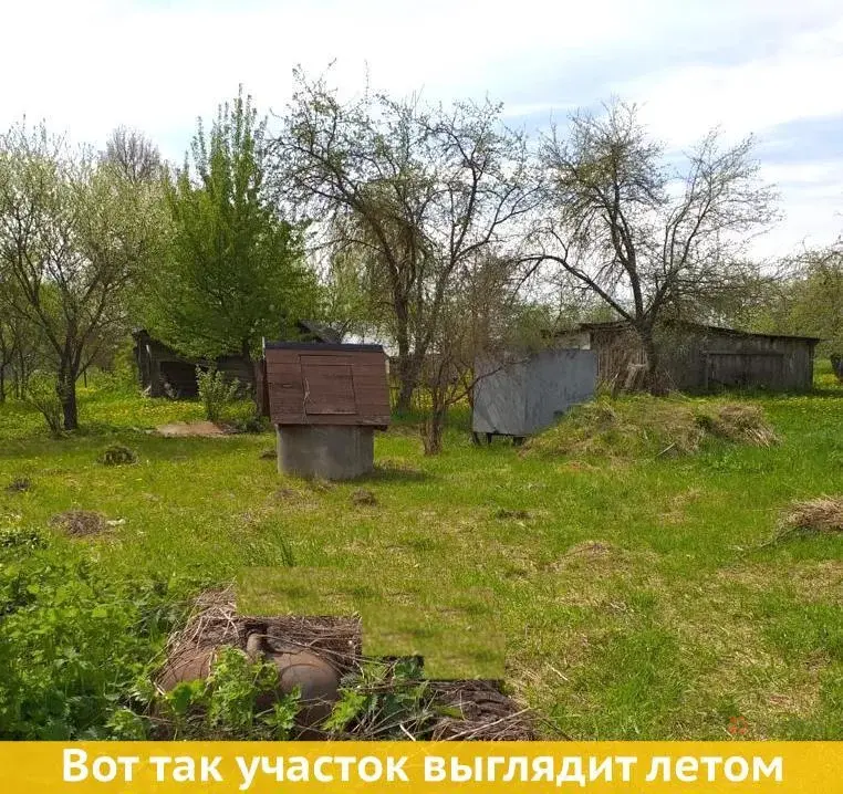 Продается участок 29 соток Парсуково, ул. Колхозная. - Фото 6