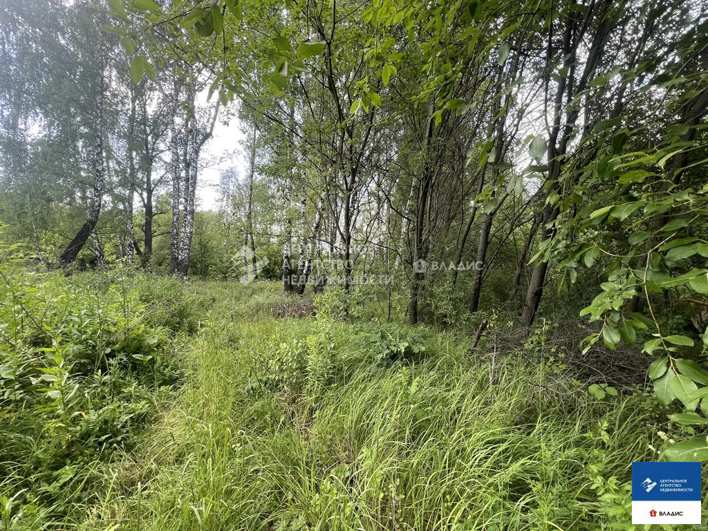 Продажа участка, Рязанский район, садовое товарищество Листвянка - Фото 5