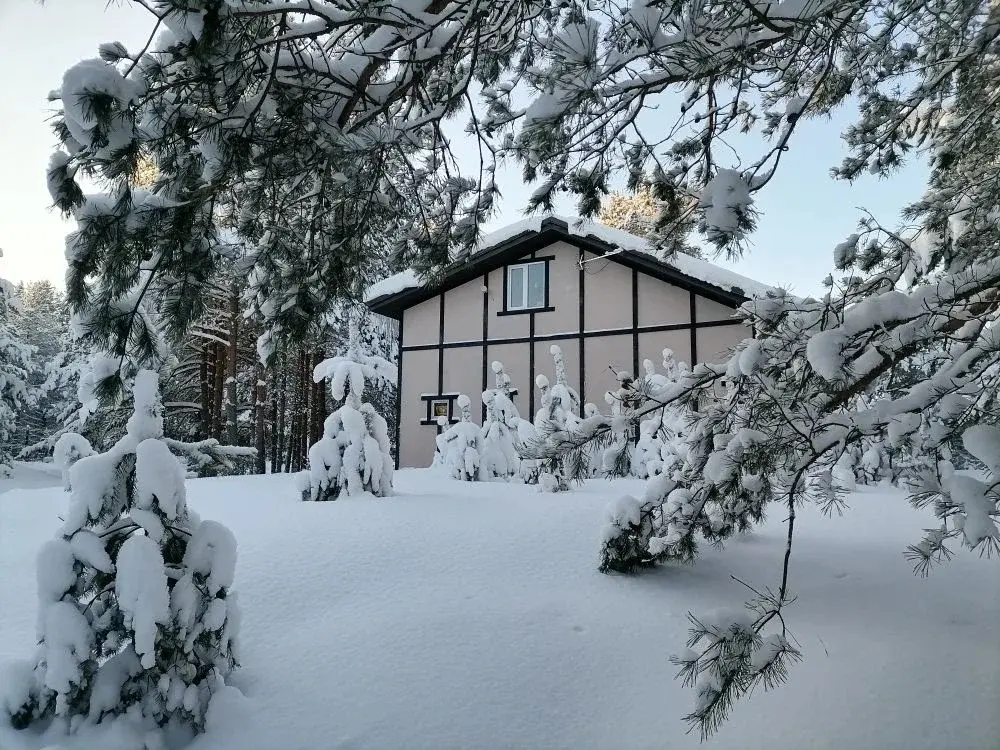 Продажа дома 100 кв.м. на участке 25 сот. - Фото 3