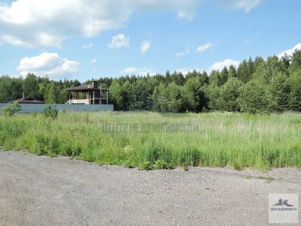 ПРОДАЕТСЯ УЧАСТОК 10 СОТОК ПОД ИЖС В ПАВЛОВСКОМ ПОСАДЕ (д. Носырёво) - Фото 2
