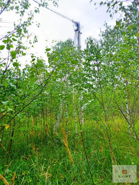 Продажа участка, Дачное, Высокогорский район, дом 13 - Фото 4