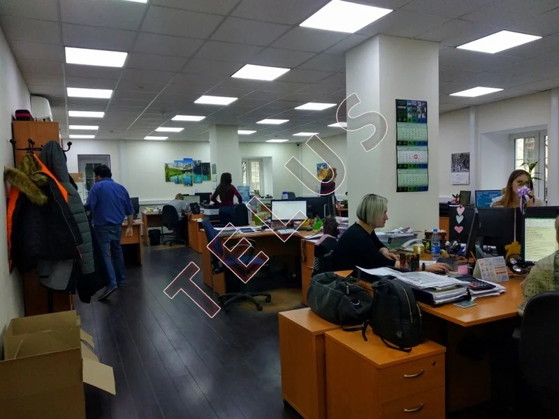 м. Баррикадная, Большая Грузинская, 903 м2, Здание (ном. объекта: 269) - Фото 12