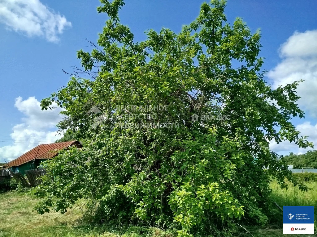 Продажа дома, Нарышкино, Касимовский район, 66 - Фото 6