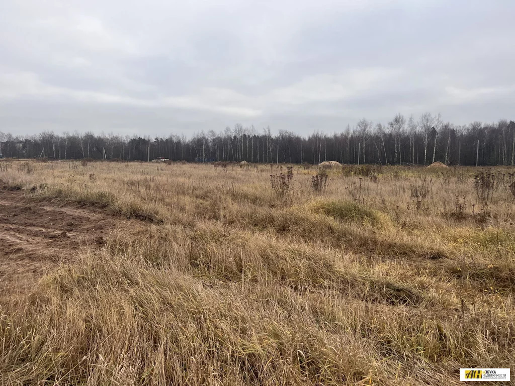 Продажа участка, Бабеево, Богородский г. о. - Фото 5