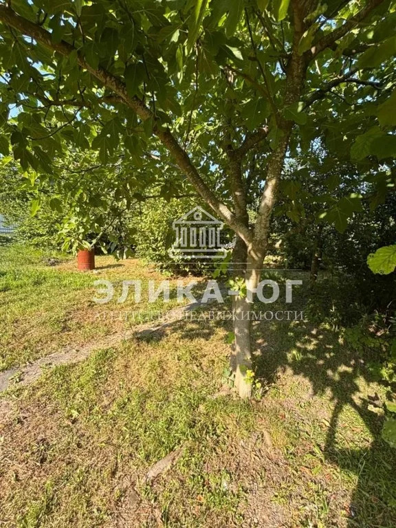 Продажа участка, Пляхо, Туапсинский район, ул. Совхозная - Фото 2