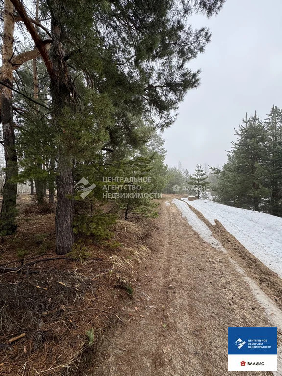 Продажа участка, Рязанский район, садоводческое товарищество ... - Фото 9