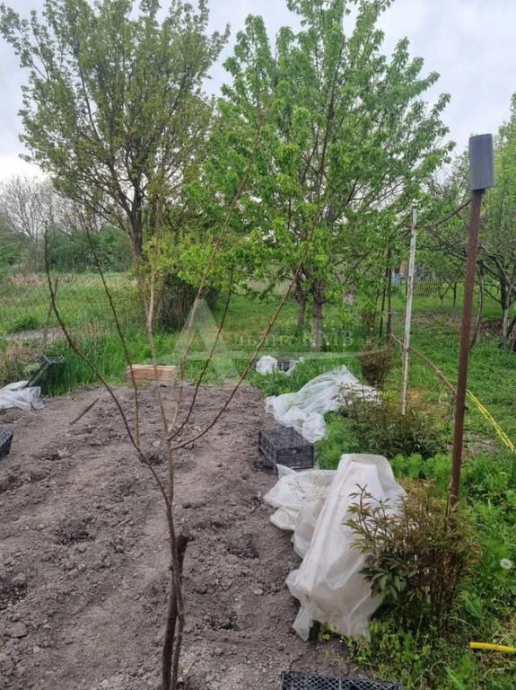 Продажа дома, Георгиевск, ул. Октябрьская - Фото 16