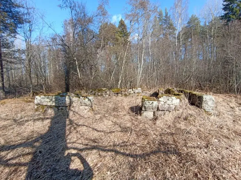 Участок в 100 м от озера Губановское - Фото 2