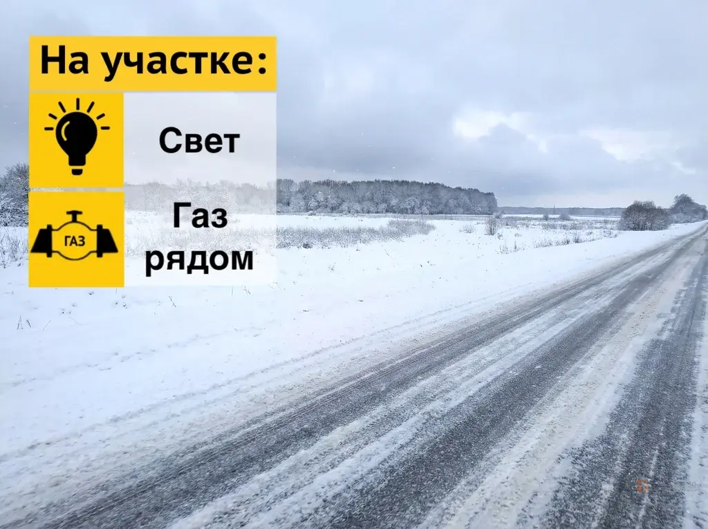 Продается земельный участок Жальское деревня - Фото 1