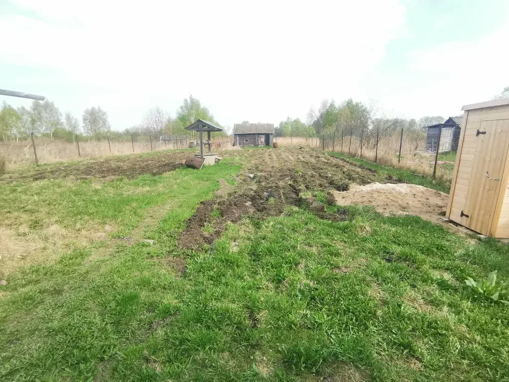 Дом в хвойном лесу - Фото 3