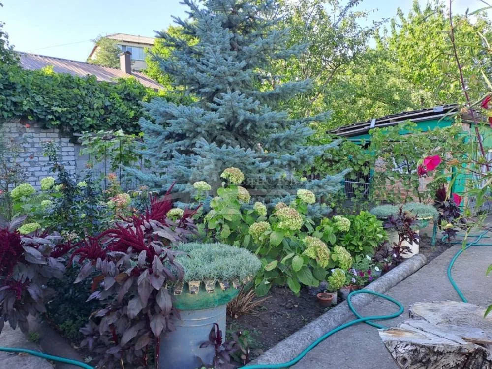 Продажа дома, Железноводск, ул. Интернациональная - Фото 12