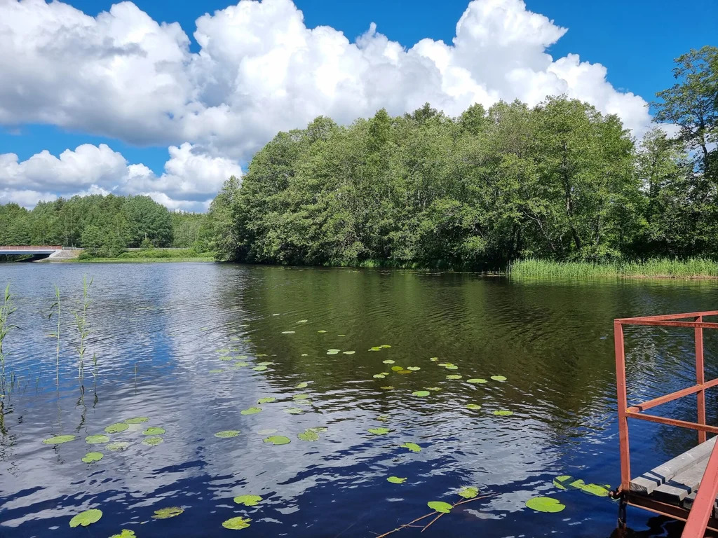 Продажа участка, Большое Поле, Выборгский район - Фото 3