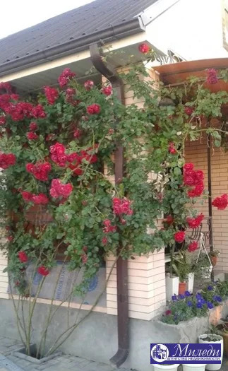 Продажа участка, Батайск, Тепличная улица - Фото 10