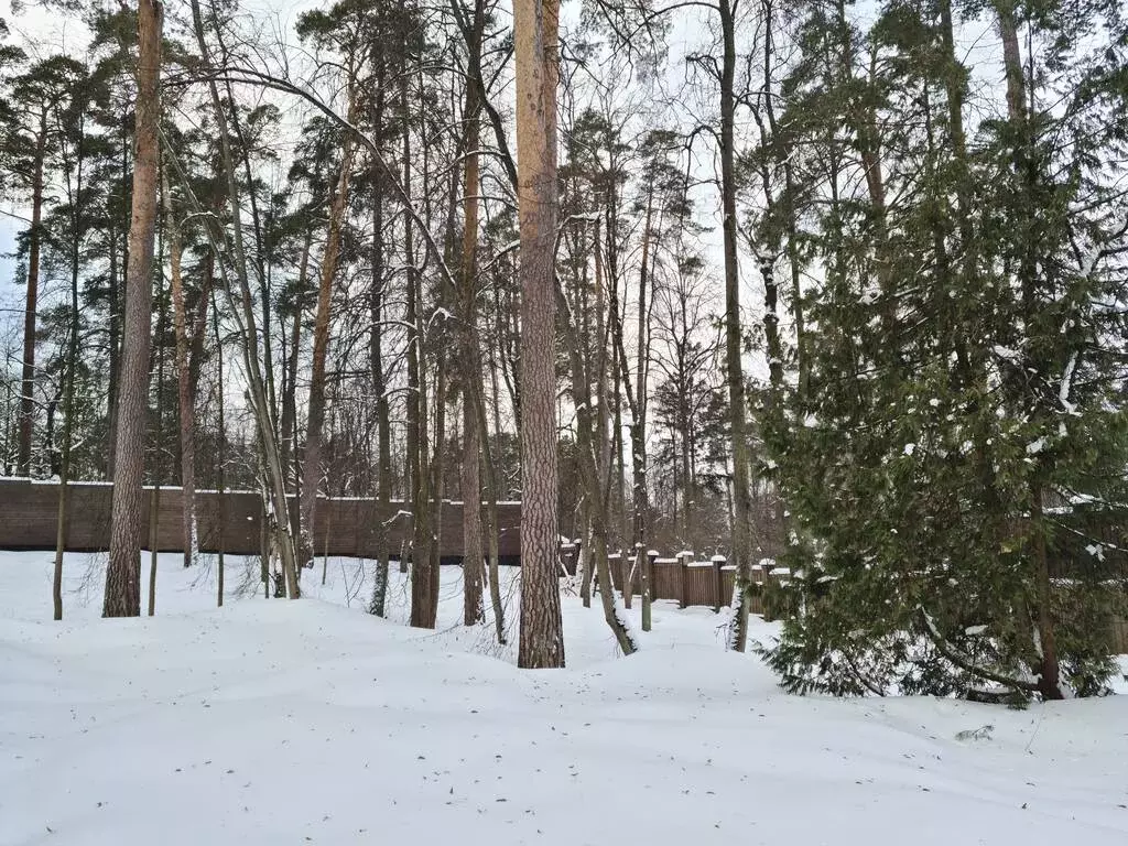 Рублево-Успенское ш. 9км. д. Жуковка лесной участок 51 сотка ИЖС - Фото 1