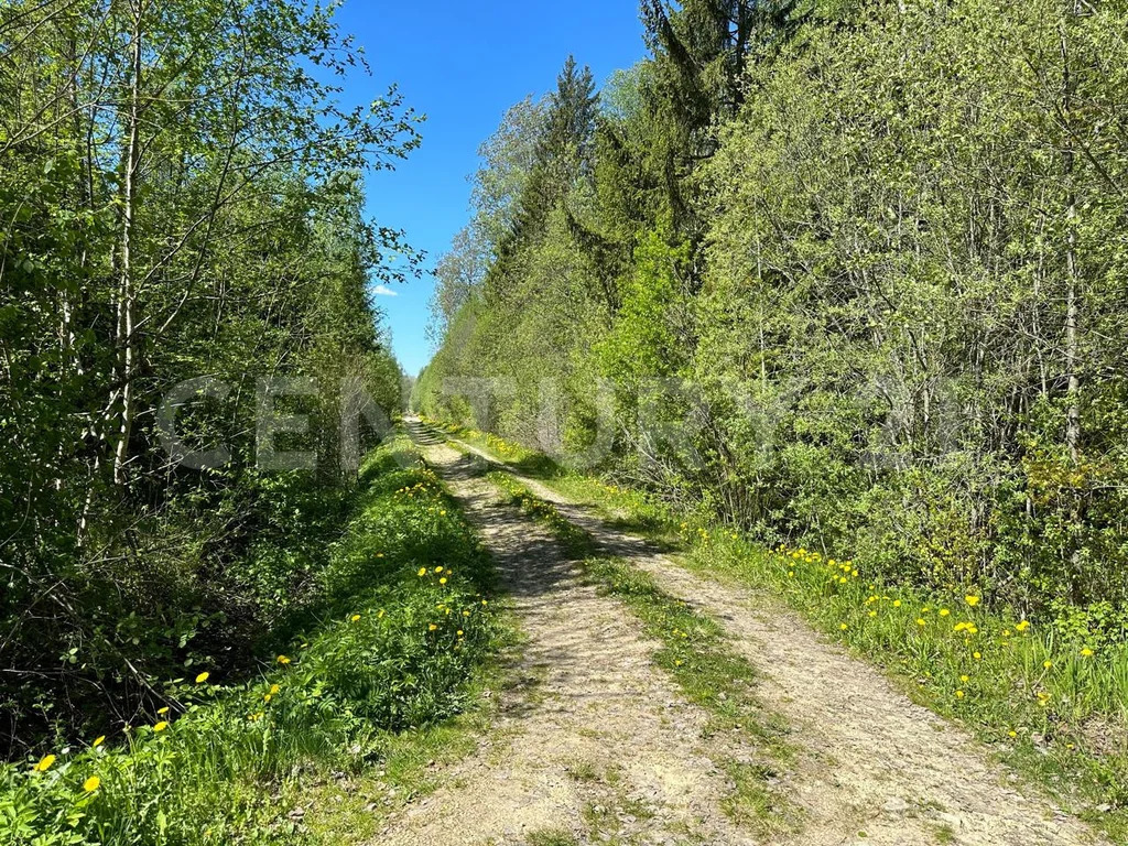 продажа дома, снт надежда массива радофинниково, тосненский район, снт . - Фото 31