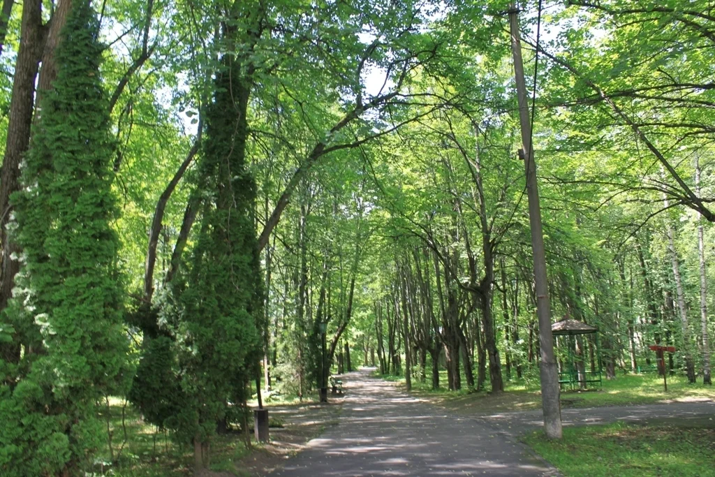 Лесной участок на территории санатория, рядом река, экология, тишина. - Фото 5