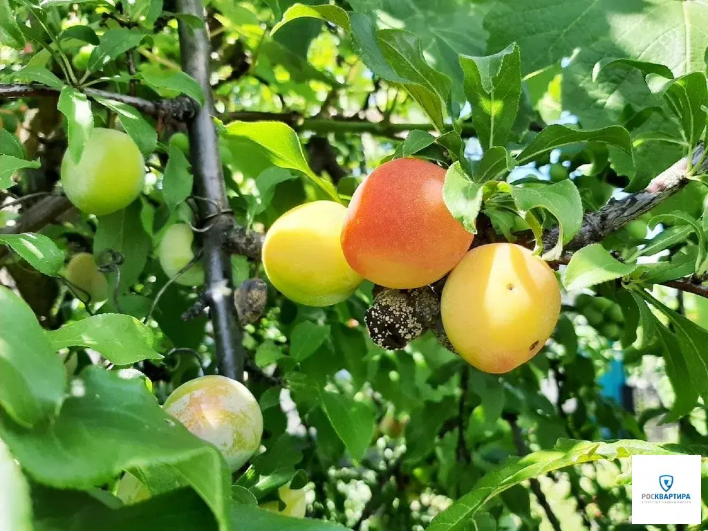 Продажа дома в Задонске - Фото 1