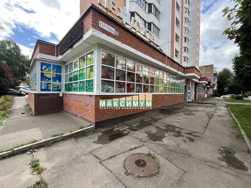 ПСН 360 кв.м. в г. Домодедово, ул. Гагарина, д.58 - Фото 2