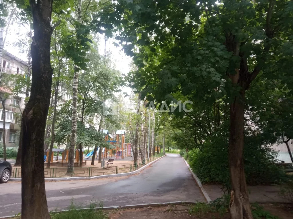 Городской округ Щёлково, Щёлково, улица Беляева, д.3, 2-комнатная . - Фото 17