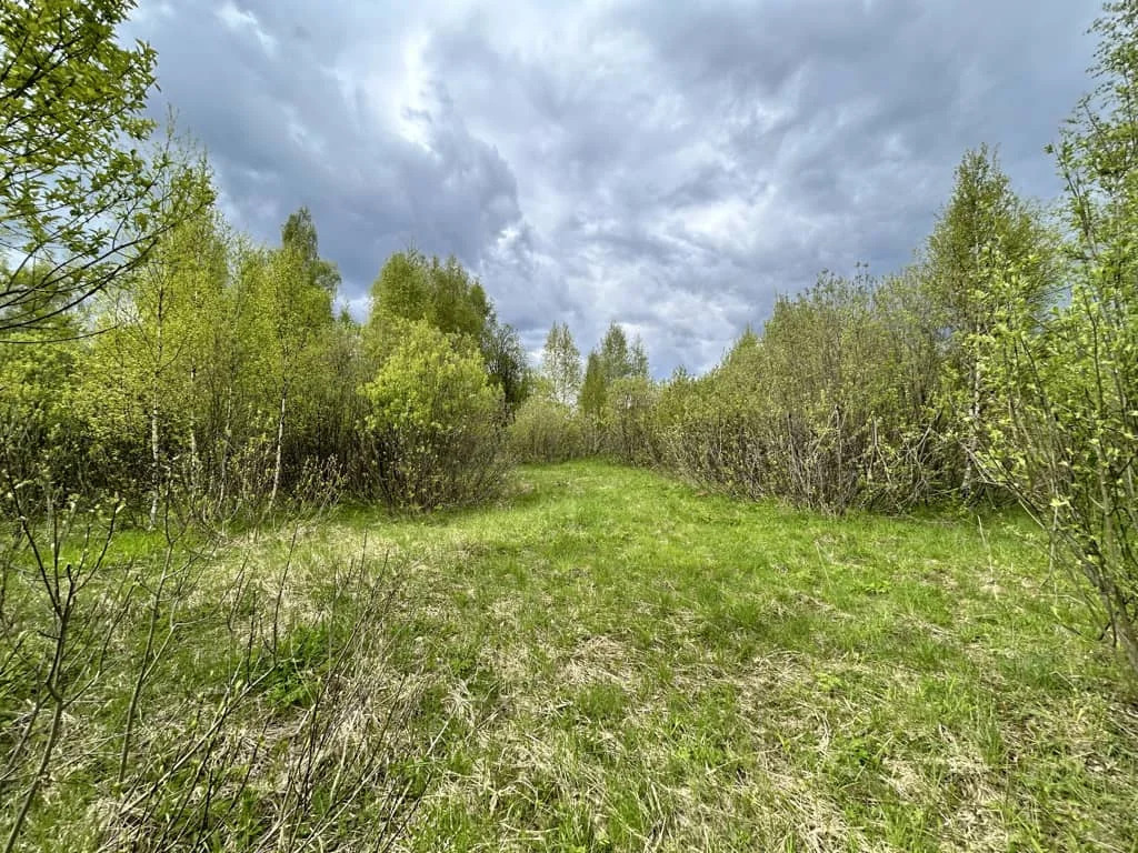 Продажа участка, Пески, Дмитровский район - Фото 5