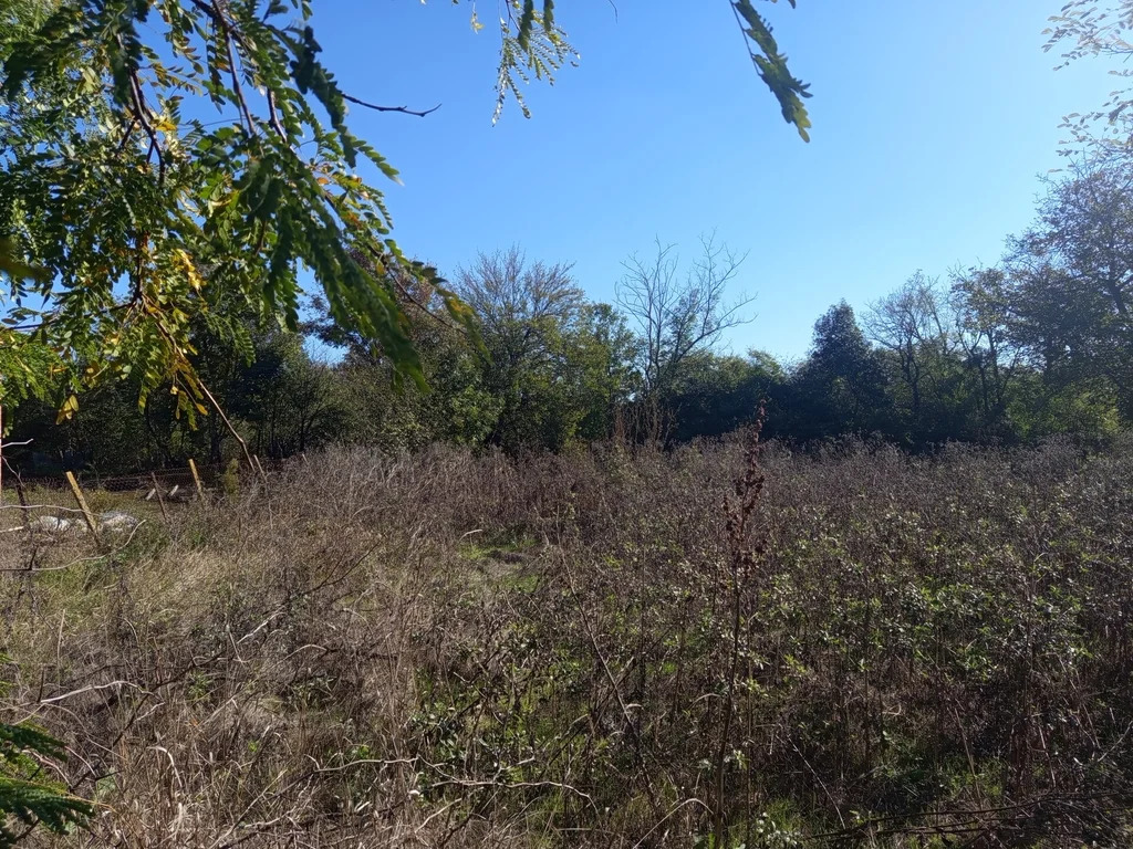 Продажа участка, Новомышастовская, Красноармейский район, ул. Толстого - Фото 6