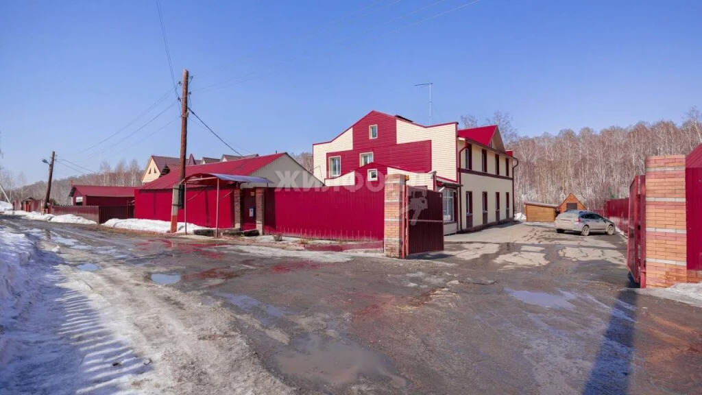 Продажа дома, Раздольное, Новосибирский район, ул. Березовая - Фото 1